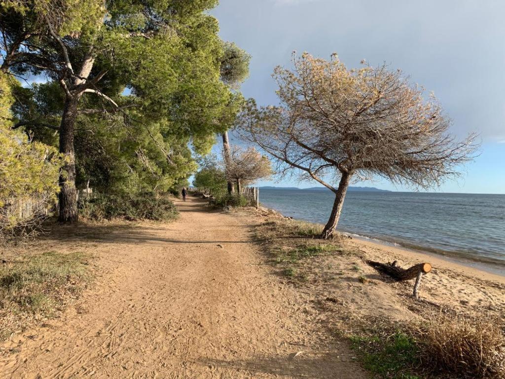 Joli T2 Proche Dans * La Londe-les-Maures